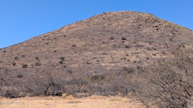 TBD W Gleeson Rd, Elfrida, AZ 85610 - photo 7