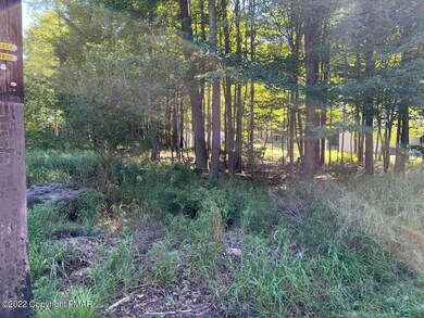 0 Lake Shore Dr 1 Land Lot unit PM-100783, Pocono Lake, PA 18347 - photo 2