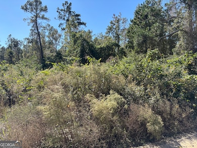 0 Mincey Rd unit 10654361, Brooklet, GA 30415 - photo 4