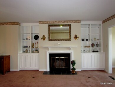 Fireplace with Gas Logs and Built-ins