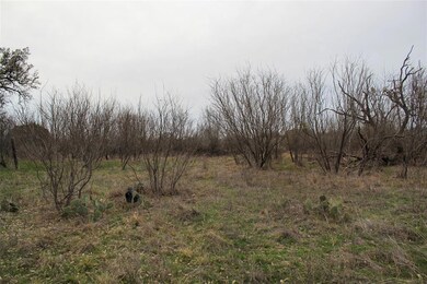 9127 Highway 279, Brownwood, TX 76801 - photo 3