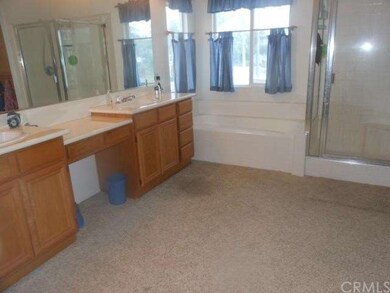 Master bath with dual sinks