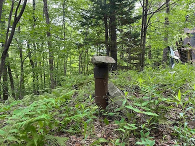 00 Ice Pond Rd, Chittenden, VT 05763 - photo 3