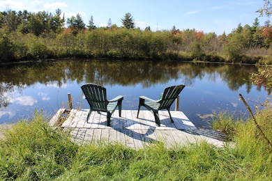 156 Hardscrabble Rd, Cadyville, NY 12918 - photo 6