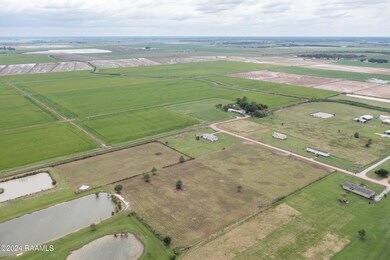 Mulberry LN Aerial