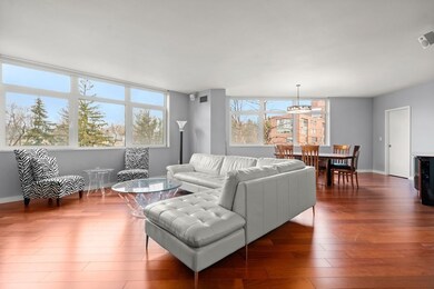 Hampton Place unit 207S, Chestnut Hill, MA 02467 - photo 2