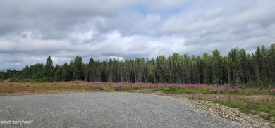 13455 W Excalibur Cir, Houston, AK 99694 - photo 2