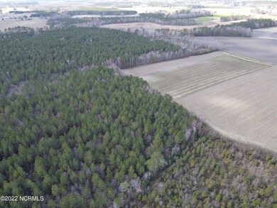 Woods & back farmland