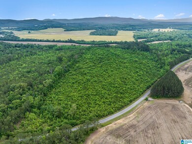 0 County Road 12 unit 21419015, Centre, AL 35960 - photo 7