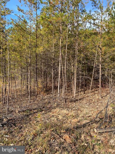 0 Courthouse Rd unit VALA2000784, Louisa, VA 23093 - photo 2