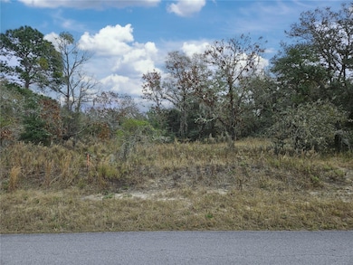 1281 SW Viburnum Rd, Dunnellon, FL 34431 - photo 3