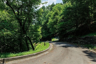 lt340341 Tunica Ln, Ellijay, GA 30540 - photo 7