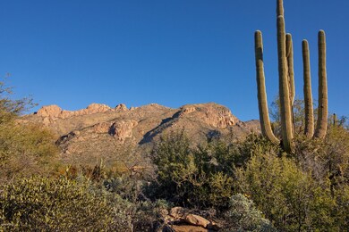 Mountain Views