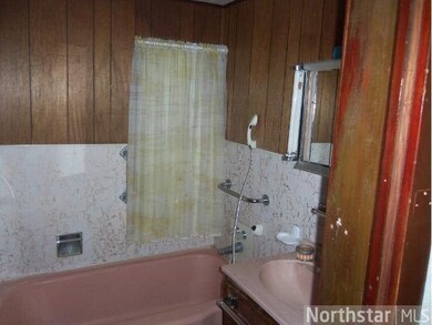 222 Market St, Le Sueur, MN 56058 - photo 7