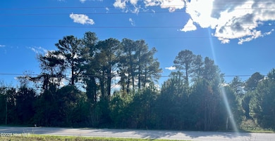 103 E Kelliwood, Goldsboro, NC 27534 - photo 4