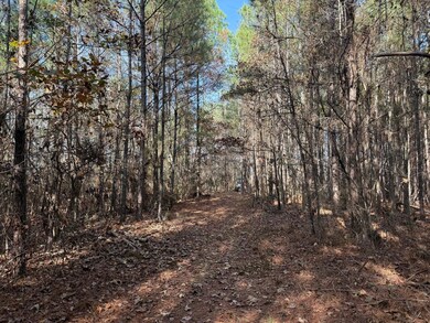 Roebuck Dr, Preston, MS 39354 - photo 4