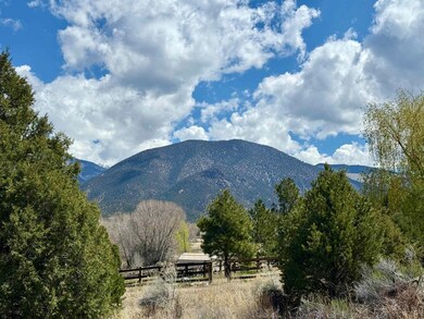 5 Acres Tract 47 Old Red River Rd, Questa, NM 87556 - photo 6
