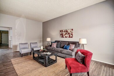 0005-Thunderbird (3)