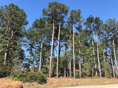 4460 Flowers Chapel Rd, Dothan, AL 36305 - photo 5