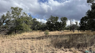 0 Mountain View unit 24140967, Pie Town, NM 87827 - photo 7