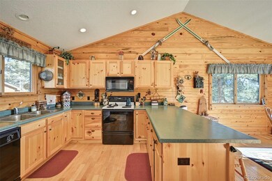 2177 Yellowstone Rd, Hartsel, CO 80449 - photo 6