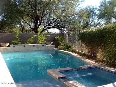 backyard oasis