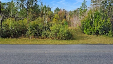 Lot 2 Old Bay City Rd, Wewahitchka, FL 32465 - photo 6
