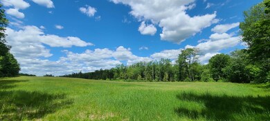 0 Old Turnpike & Off Old Turnpike Rd unit 4913789, Salisbury, NH 03268 - photo 5