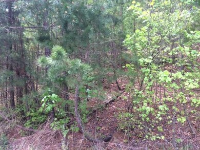 0 Northmont Lake Dr unit 64 885266, Asheboro, NC 27205 - photo 3