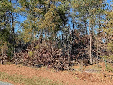 Lot 68 Whistling Wings, New Lisbon, WI 54650 - photo 2