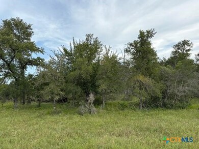 Lot 2 Willis Ln, Smithville, TX 78957 - photo 7