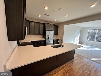 13676 Innovation Station Loop, Hunter Mill District, VA 20171 - photo 4