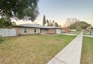 Large, clean yard