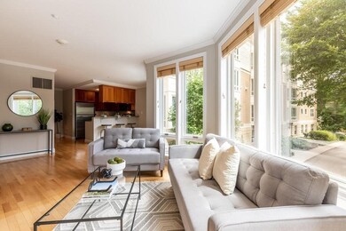 2 St Paul St unit 201, Brookline, MA 02446 - photo 4