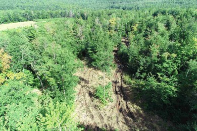 63-11-5 Ossipee Mountain Rd unit 63/11-5, Ossipee, NH 03864 - photo 6