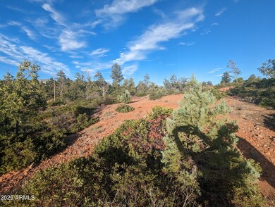 922 Old Settler Trail unit 390, Linden, AZ 85901 - photo 6