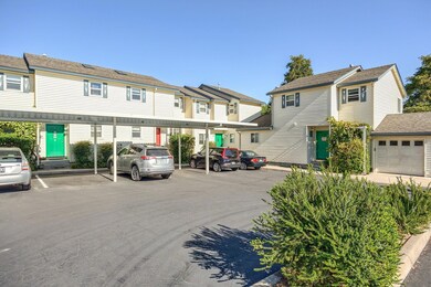 493 Tulipan complex front 1