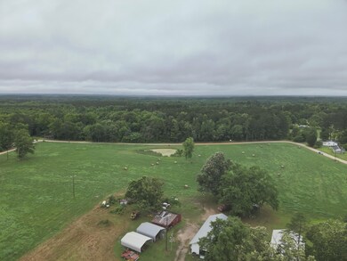 38 Bridges Rd, Carlton, GA 30627 - photo 7