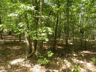 2136 S Chapel Hill Church Rd, Denton, NC 27239 - photo 6