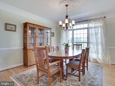 705 Childs Point Rd, Annapolis, MD 21401 - photo 4