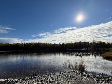 21387 E Quarah Lake Ave, Talkeetna, AK 99676 - photo 3