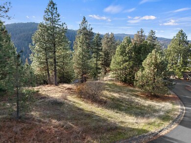 XXXX E View Ridge Ln, Spokane, WA 99206 - photo 6