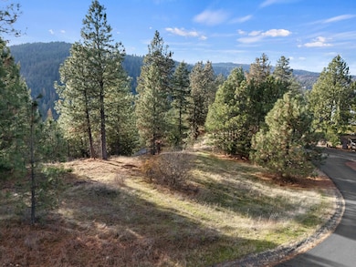 XXXX E View Ridge Ln unit or S. Chester Creek, Spokane, WA 99206 - photo 6