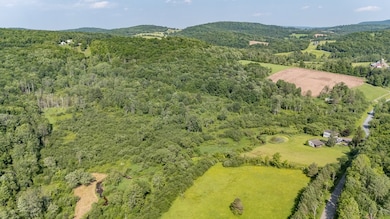 0 Cummiskey Rd, New Albany, PA 18833 - photo 4