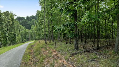 All Lots Esculapia Hollow Rd, Rogers, AR 72758 - photo 2