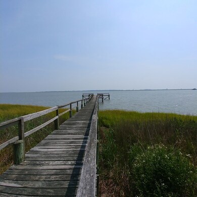 Community Dock