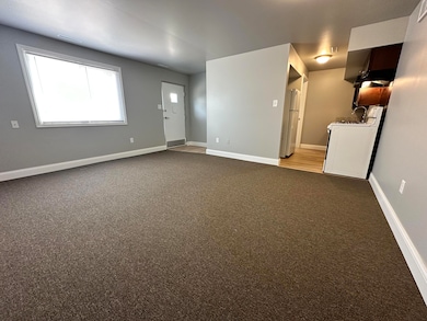 207 E 37th Ave unit 3, Griffith, IN 46319 - photo 2