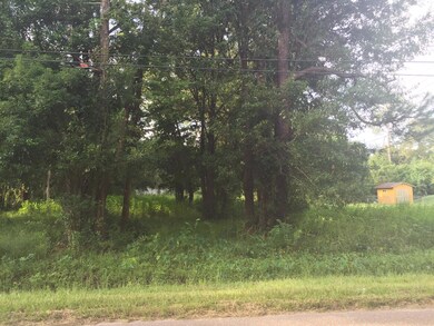 0 105th St unit 793076, Jacksonville, FL 32244 - photo 2