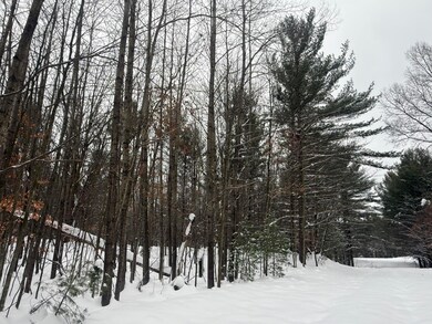 3.75 Acres Wayne Rd, Pentwater, MI 49449 - photo 4