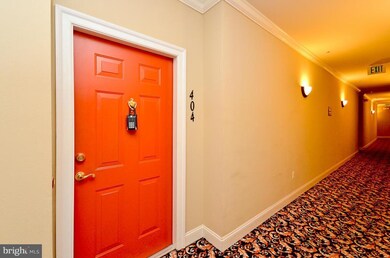 5930 Great Star Dr unit 404, Clarksville, MD 21029 - photo 5